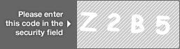 captcha code for visual authentication  letter Z number 2 letter B number 5