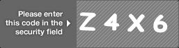 captcha code for visual authentication  letter Z number 4 letter X number 6